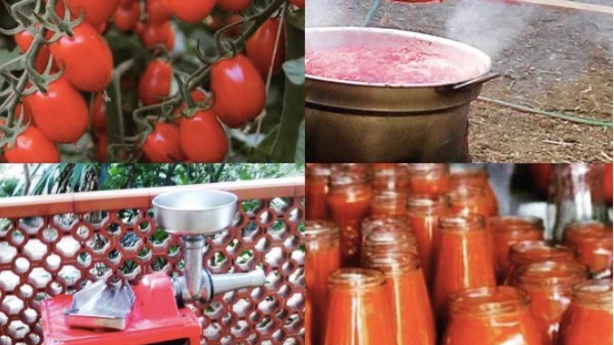 passata tomato sauce